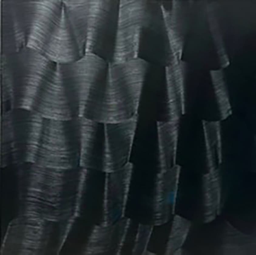 大巻伸嗣 / Shinji Ohmaki