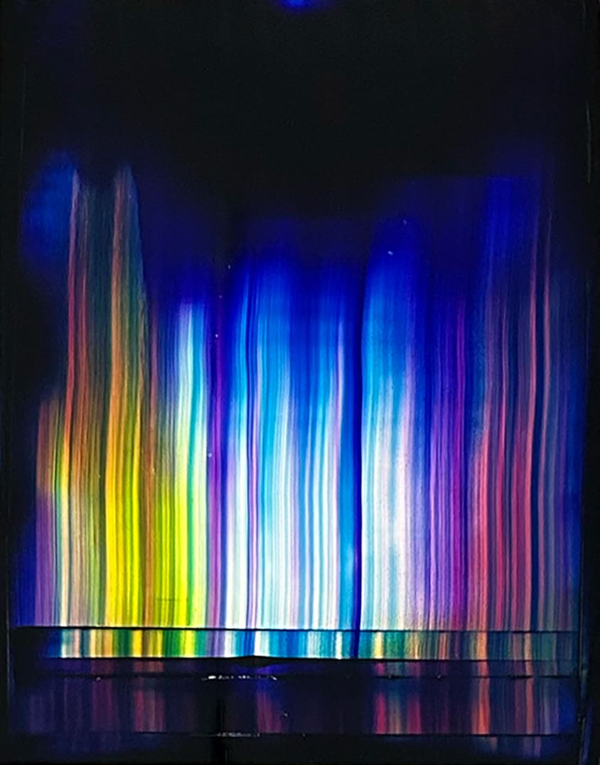 長谷川彰宏 / Akihiro Hasegawa