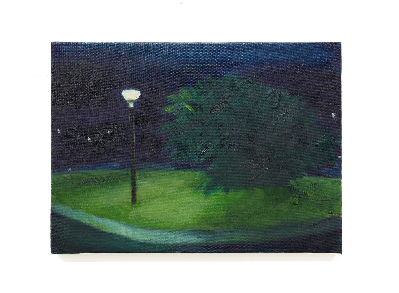 倉田紗希 / Saki Kurata